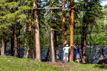 Hanging food while in the backcountry photo