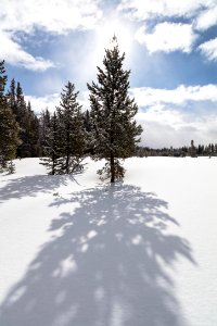 Sunny winter day in Gardners Hole
