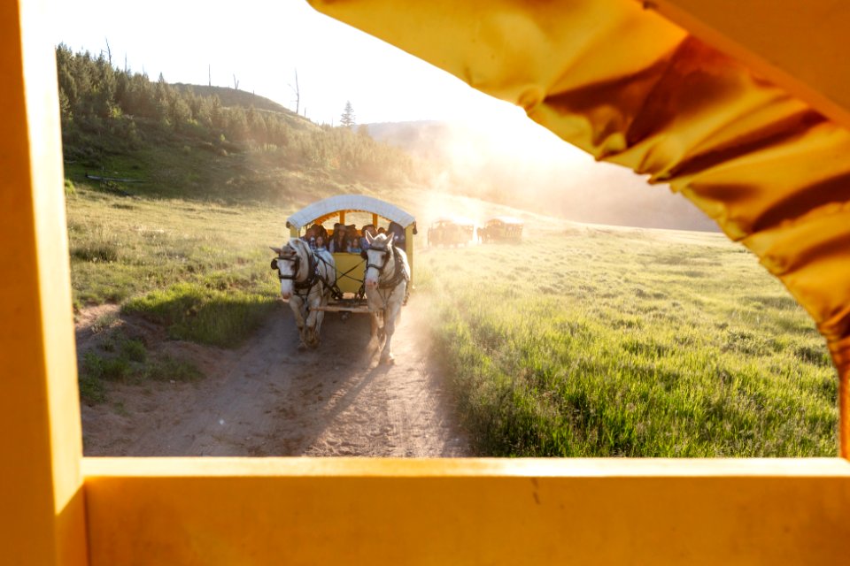 Covered wagon ride in the afternoon light