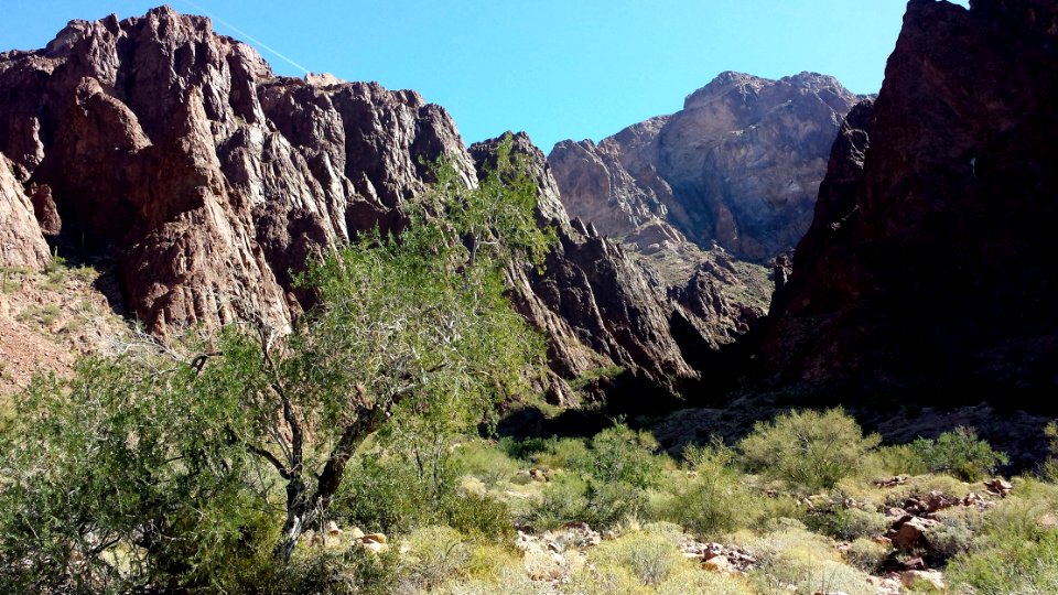 KOFA GAME RANGE, Palm Cyn Road (3-7-14) kofa game range, la paz co, az (2) photo