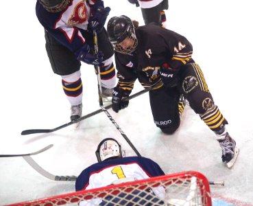 Ice Hockey - Guildford Lightning Vs Bracknell Queen Bees