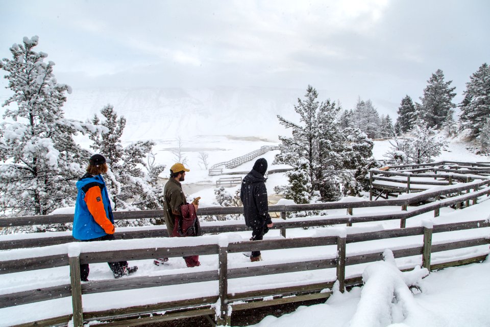 First tracks after fresh snow on the boardwalks at Mammoth Hot Springs