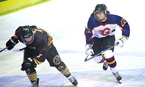 Ice Hockey - Guildford Lightning Vs Bracknell Queen Bees