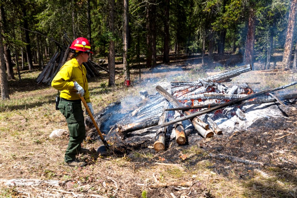 Northeast Entrance fuels project - adding burnt ends to the burn pile