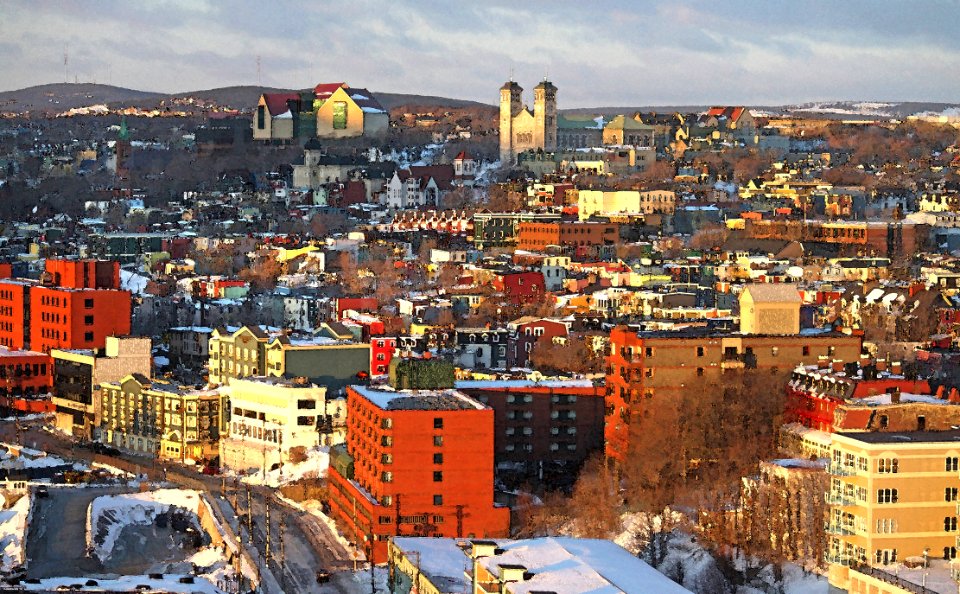 WATERCOLOR - NEWFOUNDLAND   (20)