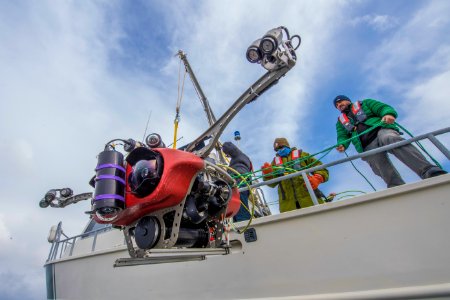 NPS Submerged Resources Center aids with Yellowstone's aquatic invasive species program (14) photo