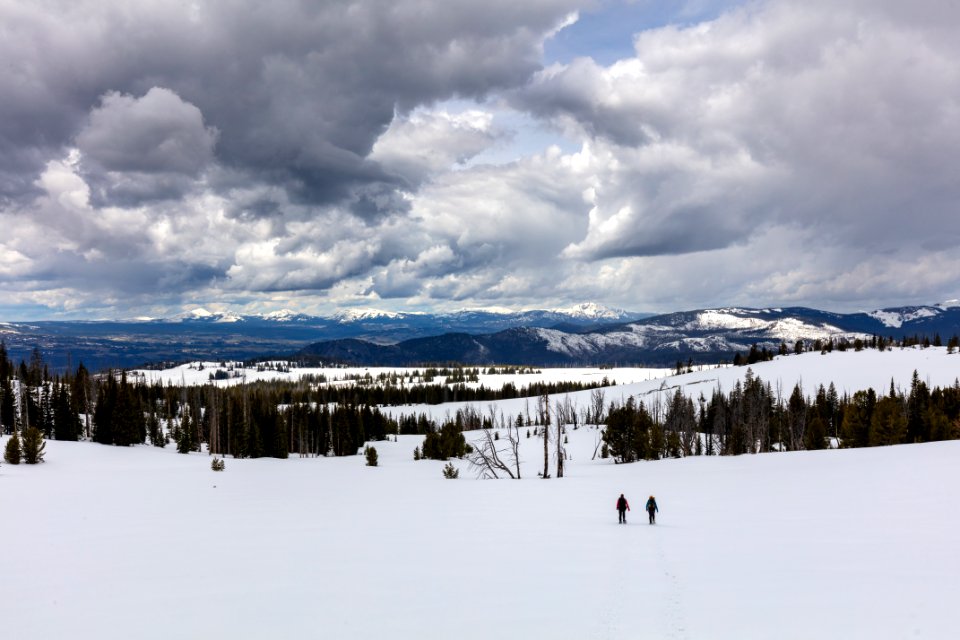 Snowshoeing Buffalo Plateau in spring (5)