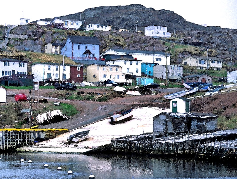 WATERCOLOR - NEWFOUNDLAND   (1)