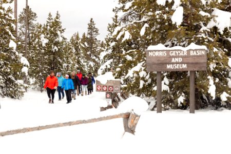 Group walks back to the snowcoach at Norris Geyser Basin photo