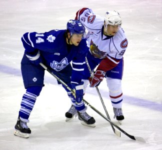Hamilton Bulldogs Vs Toronto Marlies