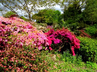 Scotney Castle Gardens photo