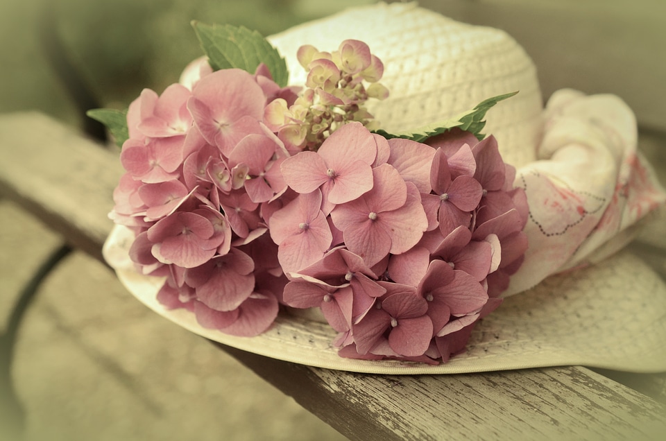Pale reduced color depth romance