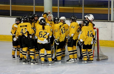 Bracknell Firebees Vs Basingstoke Bison Ladies
