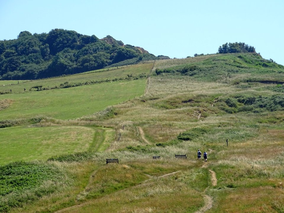 Walking up the hill