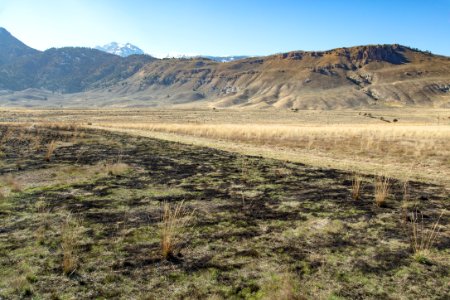 Cinnabar Basin prescribed burn project (30) - treated area with untreated area in the distance