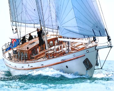Schooner Wolfhound