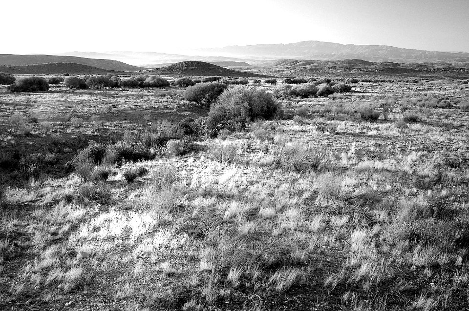 CA - SLO COUNTY, Carrizo Plain area (20) photo