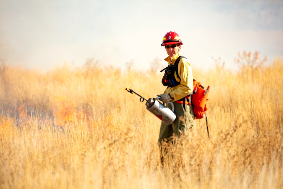 Cinnabar Basin prescribed burn project (9)