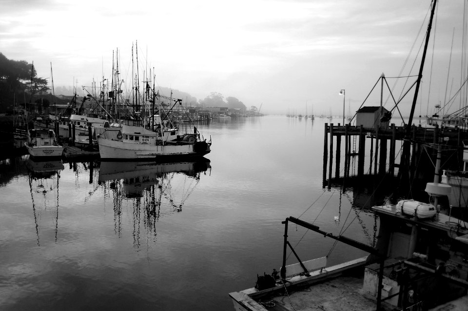 CA -  SLO COUNTY, Morro Bay area (24)
