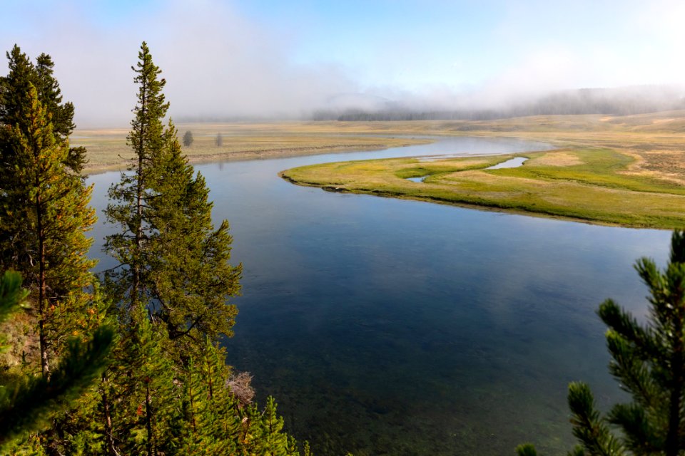 Fog burning off in Hayden Valley photo