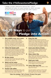 Yellowstone Pledge Poster