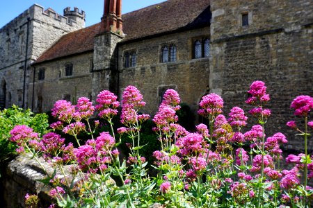 Maidstone Kent