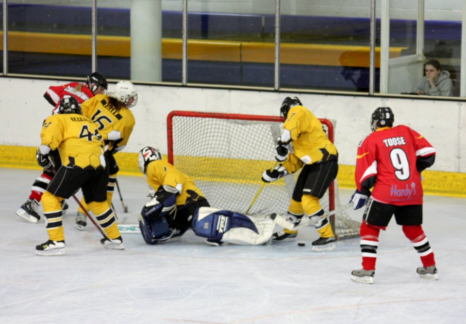Bracknell Firebees Vs Basingstoke Bison Ladies