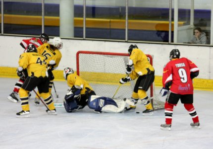 Bracknell Firebees Vs Basingstoke Bison Ladies