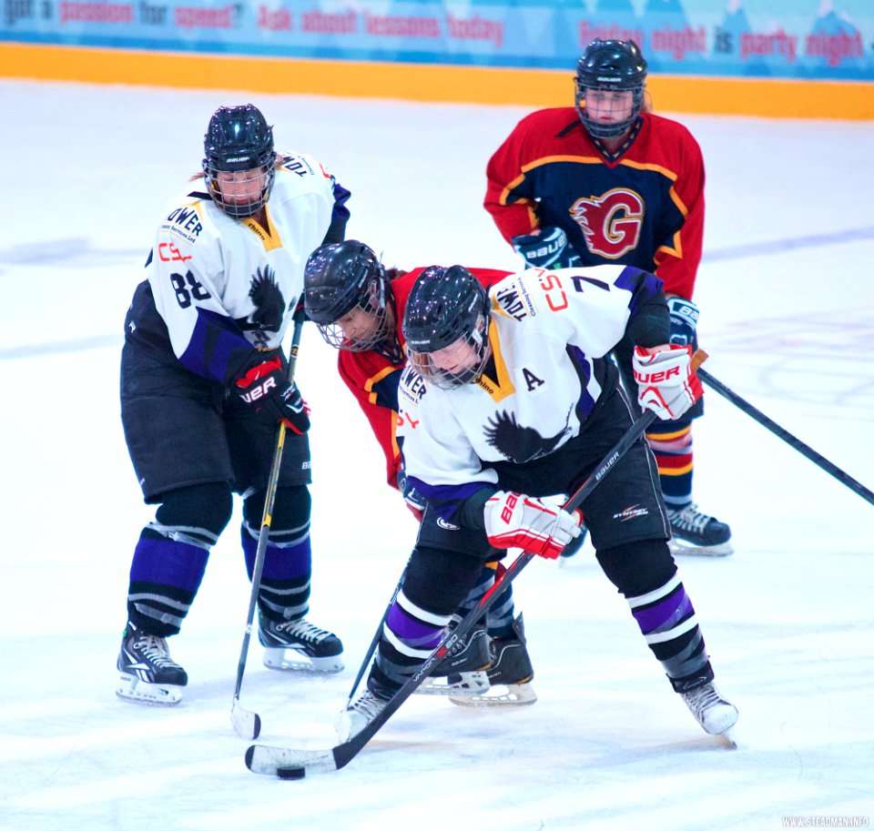 Ice Hockey: Guildford Lightning At Milton Keynes Falcons