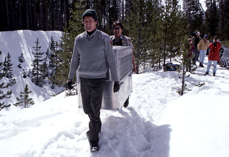 Doug Smith and Pat Peralez carrying wolf crate