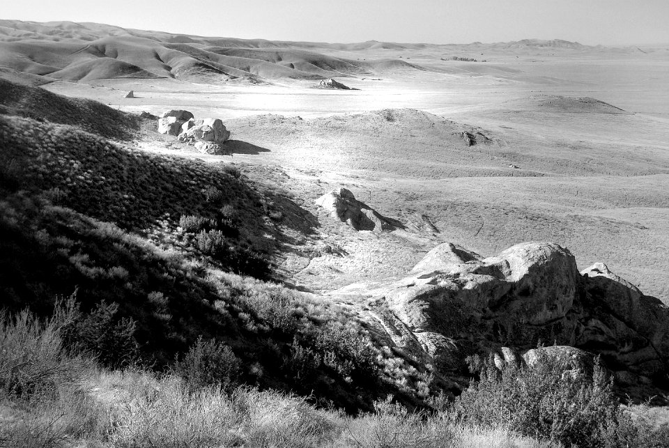 CA - SLO COUNTY, Carrizo Plain area (8) photo