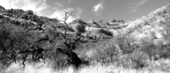 ROCK CORRAL CANYON - Atascosa Mts (3-22-14) -06 photo