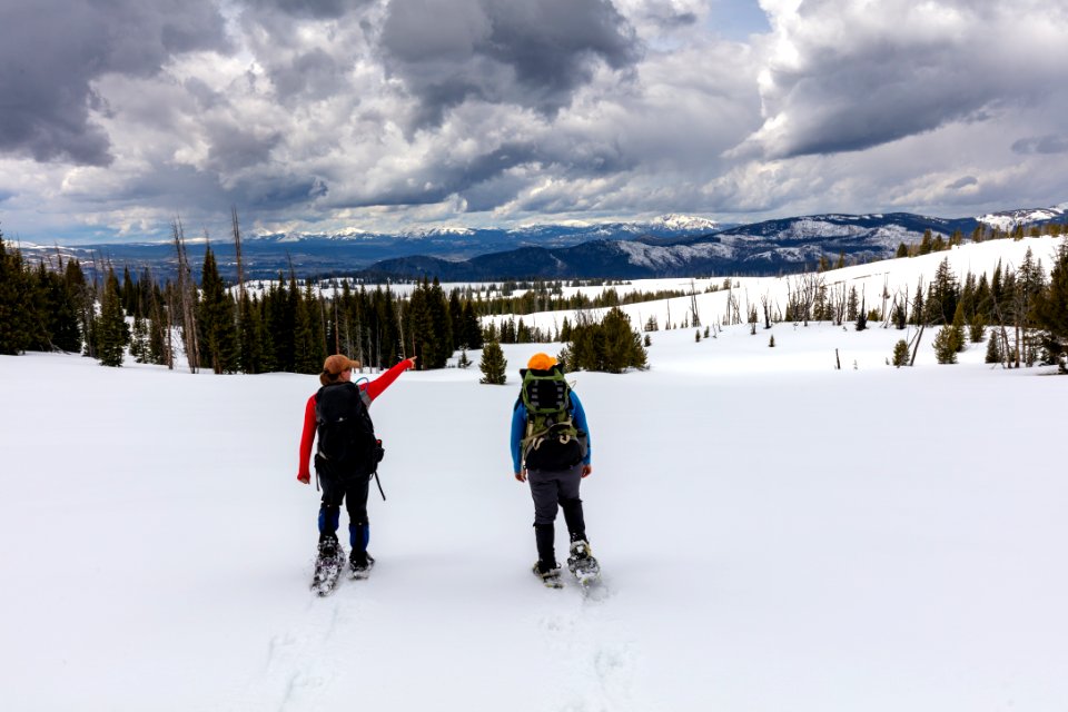 Snowshoers take in the views from Buffalo Plateau