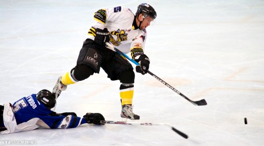 Bracknell Bees Vs Sheffield Steeldogs
