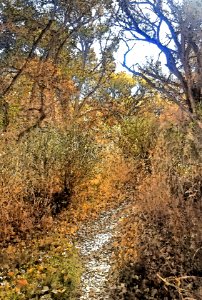 FALL PASTELS AT SAN PEDRO RIVER - PHOTOSHOP WATERCOLOR -02