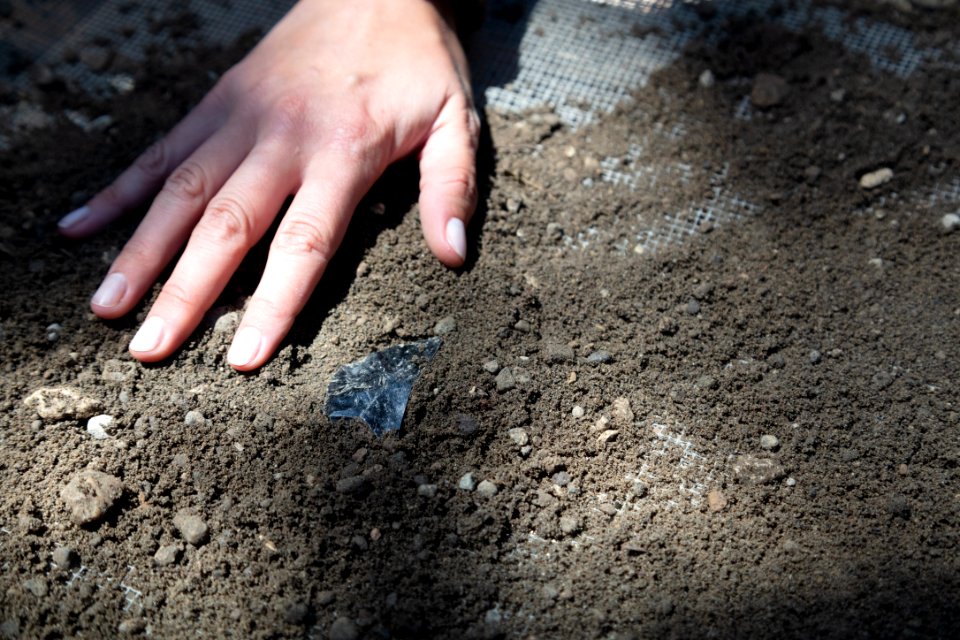 Obsidian flake found on an archaeological dig