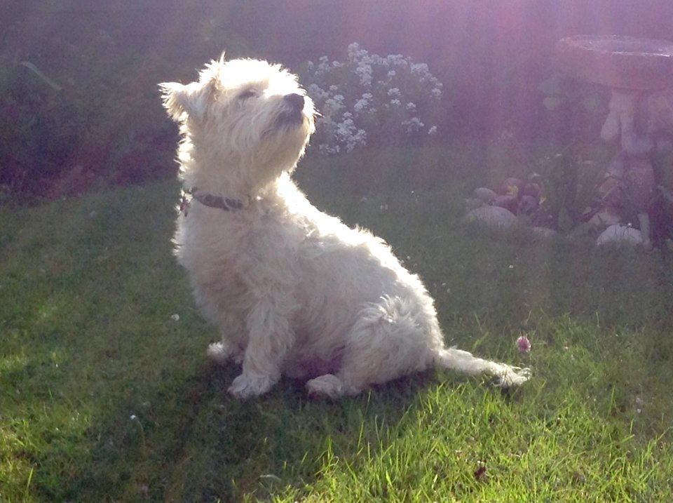 I LIKE TO FEEL THE SUN ON MY FACE