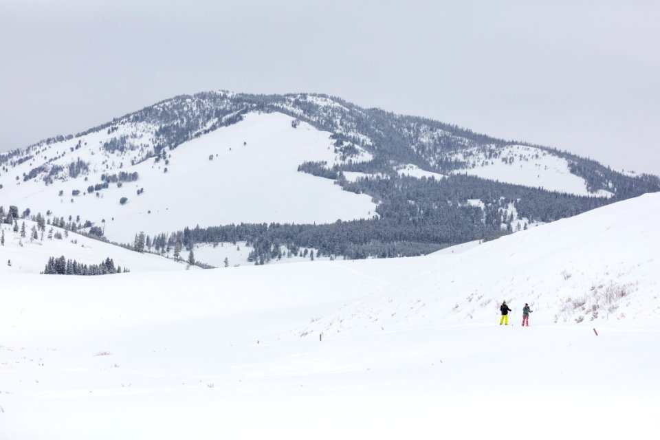 Views along the Bunsen Peak Road Ski Trail (1)
