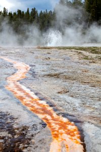 Bead Geyser eruption (panorama)