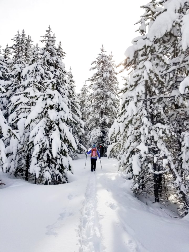 Skier on DeLacy Creek Trail