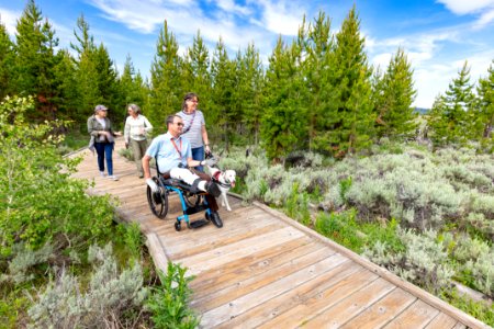 Exploring the Forces of the Northern Range boardwalk (2)