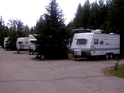 RVs at Fishing Bridge Campground