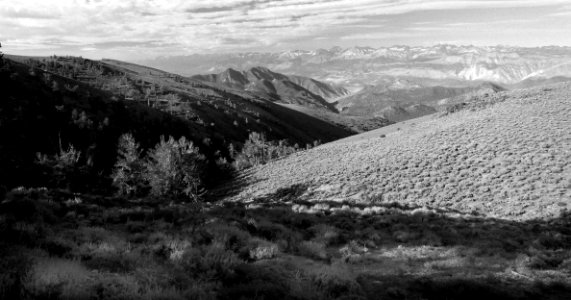 CA - INYO NAT FOREST, ANCIENT BRISTLECONE FOREST (7)