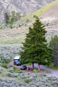 Camping in the Mammoth Hot Springs Campground