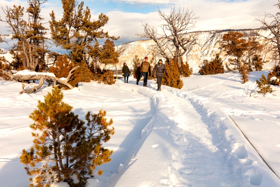 Yellowstone Forever Guide Garret leads a group along the Mammoth Hot Springs Boardwalk during winter