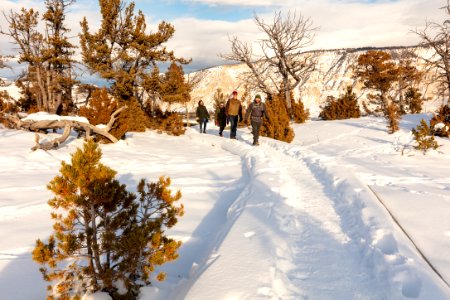 Yellowstone Forever Guide Garret leads a group along the Mammoth Hot Springs Boardwalk during winter photo