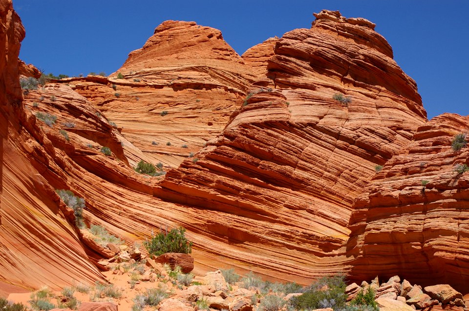 07 - South Coyote Buttes -14