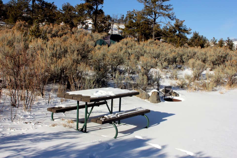 Mammoth Hot Springs Campground