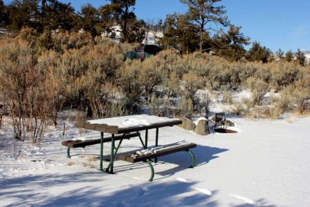 Mammoth Hot Springs Campground