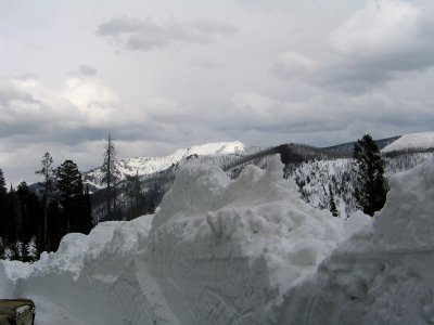 East Entrance Scenery headed back towards Lake (2)